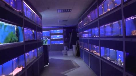 Salt Lake City Aquatics Department: Fish, Tanks & Aquarium .
